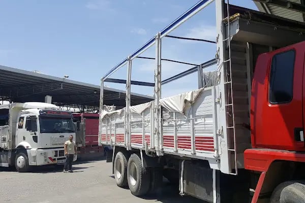 Mersin Toptanci ve Sebze Meyve Hal Kompleksi - Resim 12