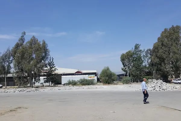 Mersin Toptanci ve Sebze Meyve Hal Kompleksi - Resim 5