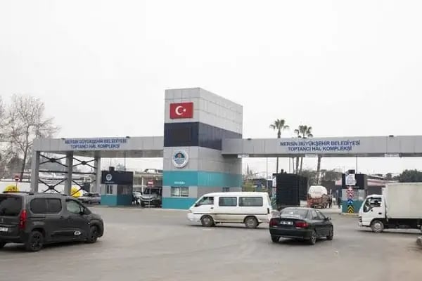 Mersin Toptanci ve Sebze Meyve Hal Kompleksi - Resim 2