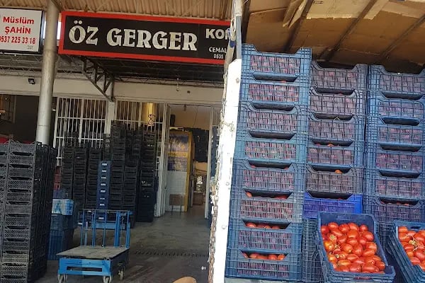 Mersin Toptanci ve Sebze Meyve Hal Kompleksi - Resim 9