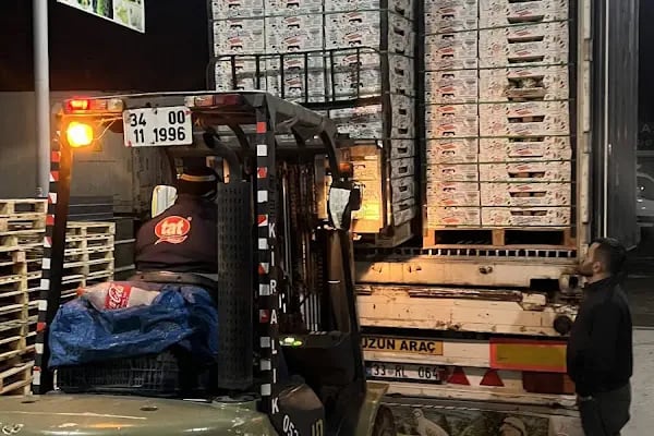 Mersin Toptanci ve Sebze Meyve Hal Kompleksi - Resim 8