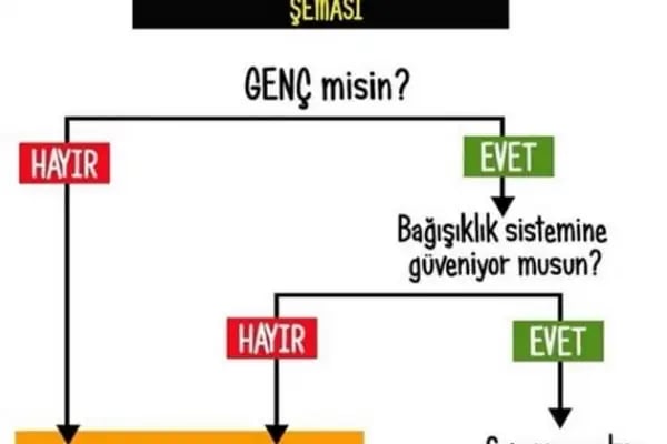 Uzm. Dr. Işıl Yıldız - Resim 8