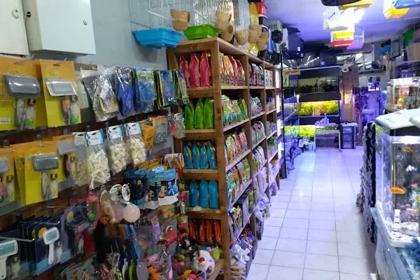 Barış Pet Shop - Resim 20