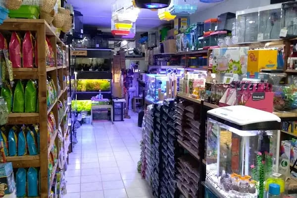 Barış Pet Shop - Resim 6