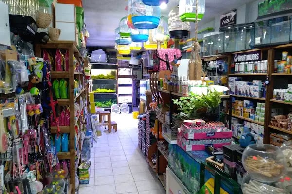 Barış Pet Shop - Resim 14