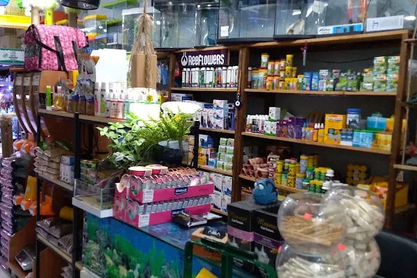 Barış Pet Shop - Resim 10