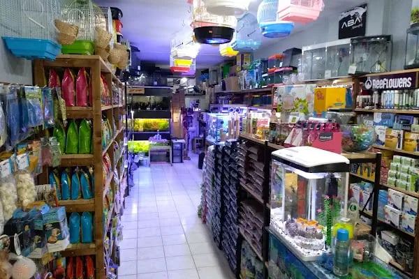 Barış Pet Shop - Resim 2