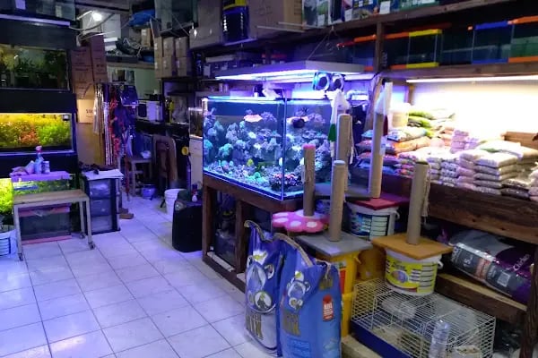 Barış Pet Shop - Resim 8