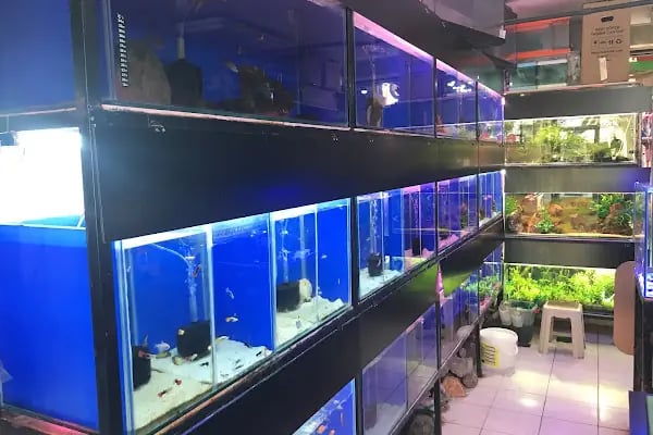 Barış Pet Shop - Resim 3