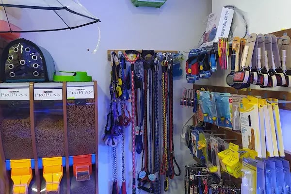 Barış Pet Shop - Resim 19