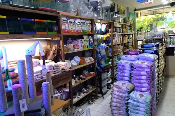 Barış Pet Shop - Resim 4
