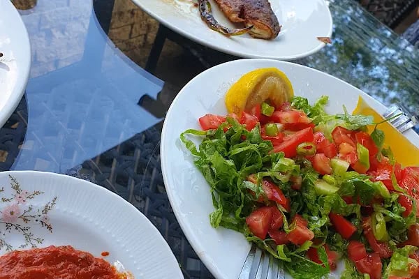 Yanıkoglu Alabalık Tesisi - Resim 20