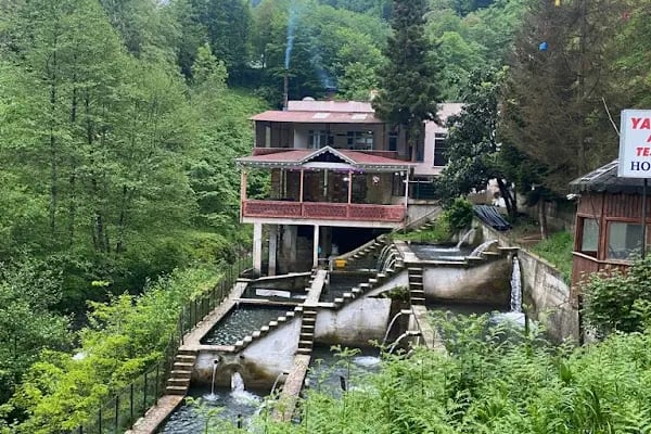 Yanıkoglu Alabalık Tesisi - Resim 5
