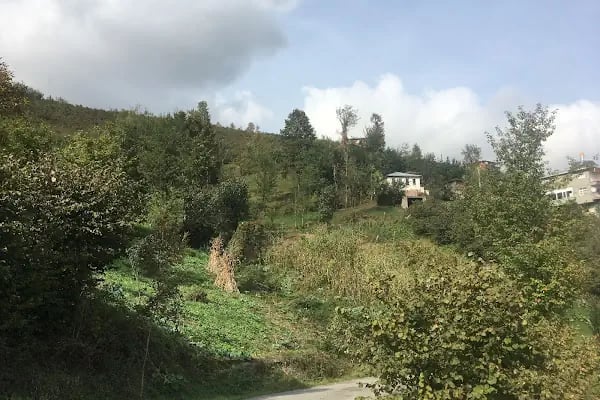 Yanıkoglu Alabalık Tesisi - Resim 9