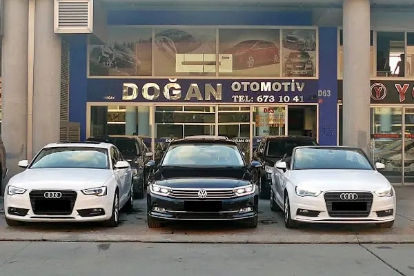 Doğan - Resim 9