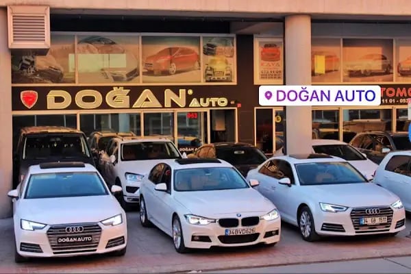 Doğan - Resim 11