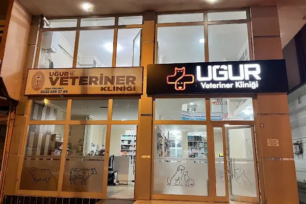 KARS, UĞUR PET VETERİNER KLİNİĞİ - Resim 20