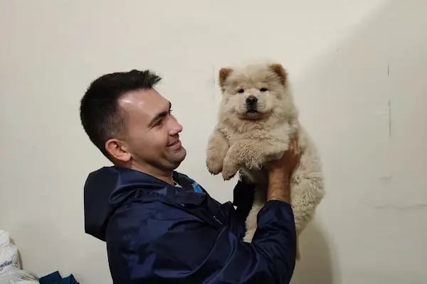 KARS, UĞUR PET VETERİNER KLİNİĞİ - Resim 17