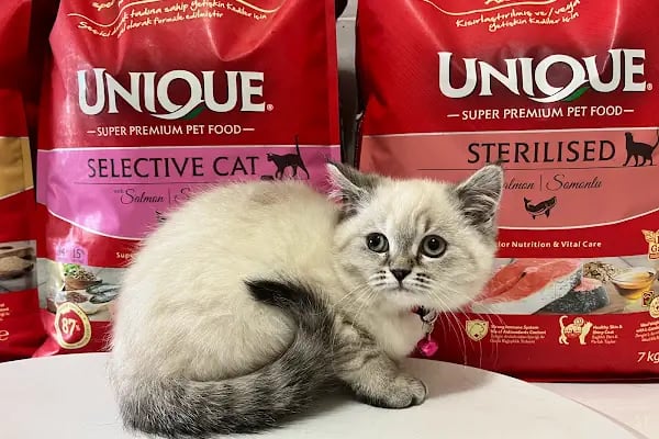 KARS, UĞUR PET VETERİNER KLİNİĞİ - Resim 16