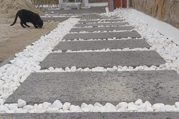 Anadolu Yakası Sultanbeyli Koordinasyon Bürosu - Resim 6