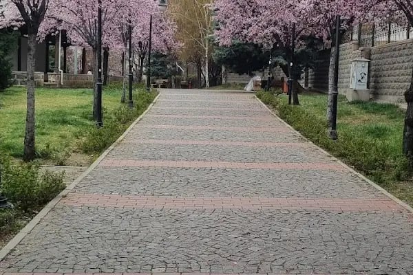 Altındağ Belediyesi Sanat Sokağı - Resim 14