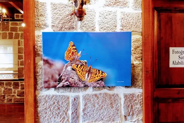 Altındağ Belediyesi Sanat Sokağı - Resim 9