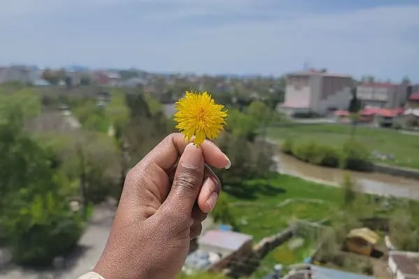 Mesut Yılmaz Dinlenme Parkı - Resim 19