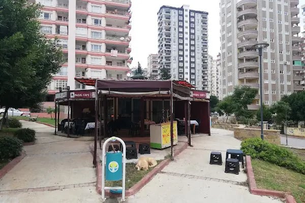 Kurttepe Parkı - Resim 14