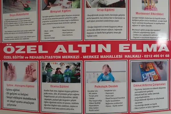 Alıç Ağacı Psikoloji &amp; Nektar Çocuk - Resim 15