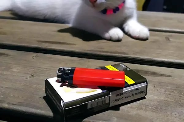 KARADAL ÇAMAŞIRHANE ve ÜTÜ SALONU - Resim 18