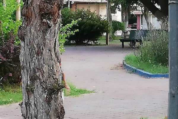 23 Evler Parkı - Resim 17