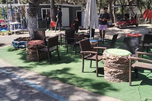Palmiye kafe - Resim 2