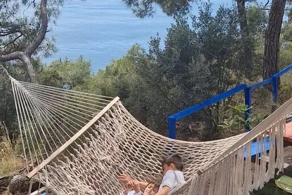 Palmiye kafe - Resim 17