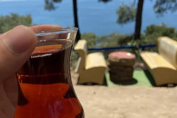 Palmiye kafe - Resim 8