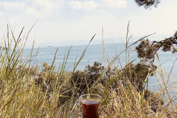 Palmiye kafe - Resim 7
