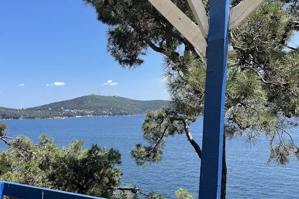 Palmiye kafe - Resim 16