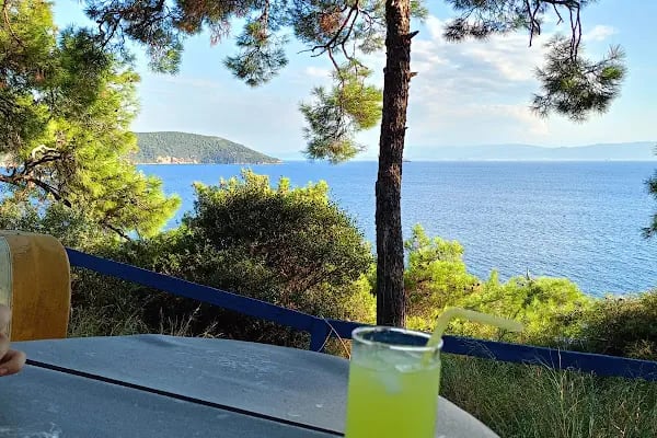 Palmiye kafe - Resim 9