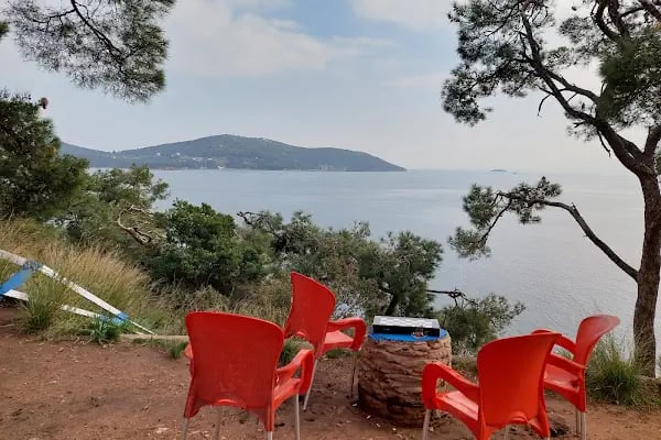 Palmiye kafe - Resim 14