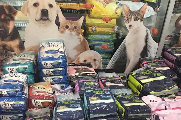 BAHA PET SHOP - Resim 2