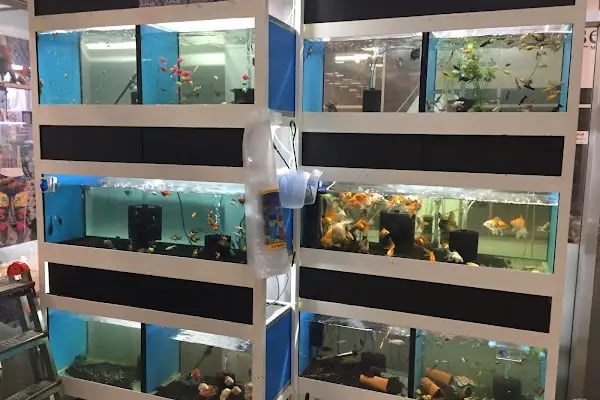 BAHA PET SHOP - Resim 9