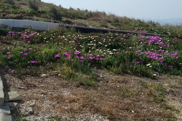 Pelitköy Sahil Plajı - Resim 12
