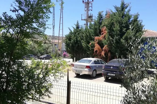 Pelitköy Sahil Plajı - Resim 14