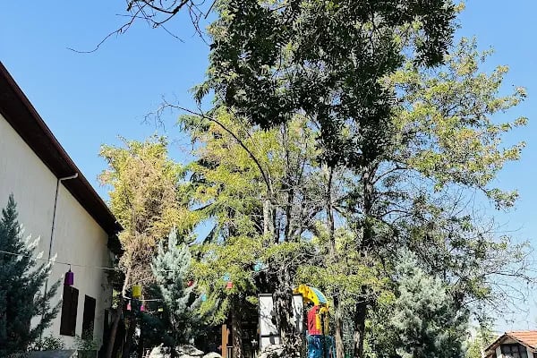 Halk Evi Kahvaltı Çay Bahçesi - Resim 11
