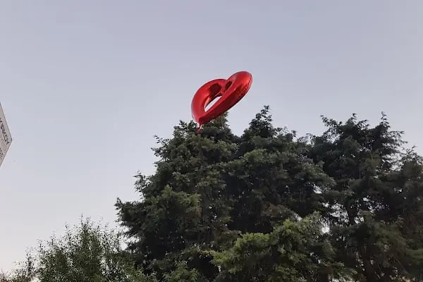 Mimoza Parkı - Resim 14