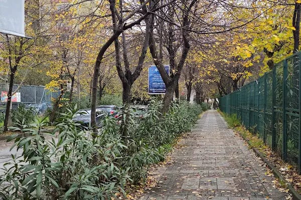 Mimoza Parkı - Resim 9