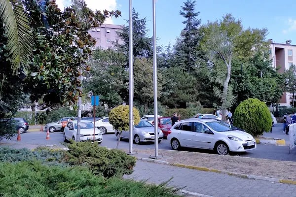Mimoza Parkı - Resim 15