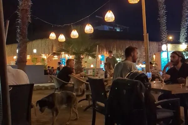 Akyaka'nın Meşhur Balık Restoranı » Sandal Balık Ekmek ® - Resim 15