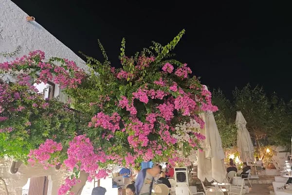 Gibi Bodrum - Resim 12