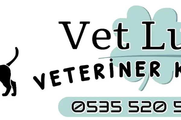 Vetluck Veteriner Kliniği - Resim 20