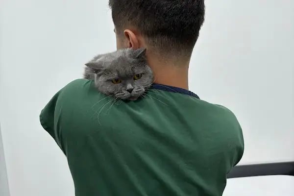 Vetluck Veteriner Kliniği - Resim 13